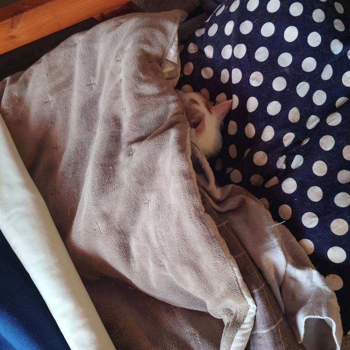 352fb3ae 8435 478d b56e d6aaeffb2b21 1770969256206