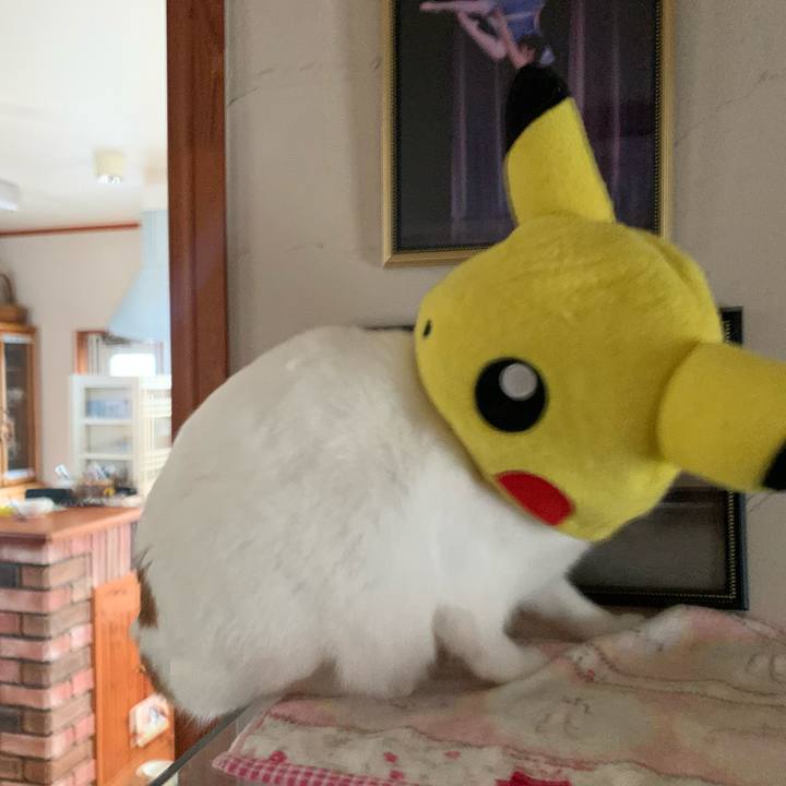 3530158c de9f 4514 b3fd 923423ef1aa6 1592719707568