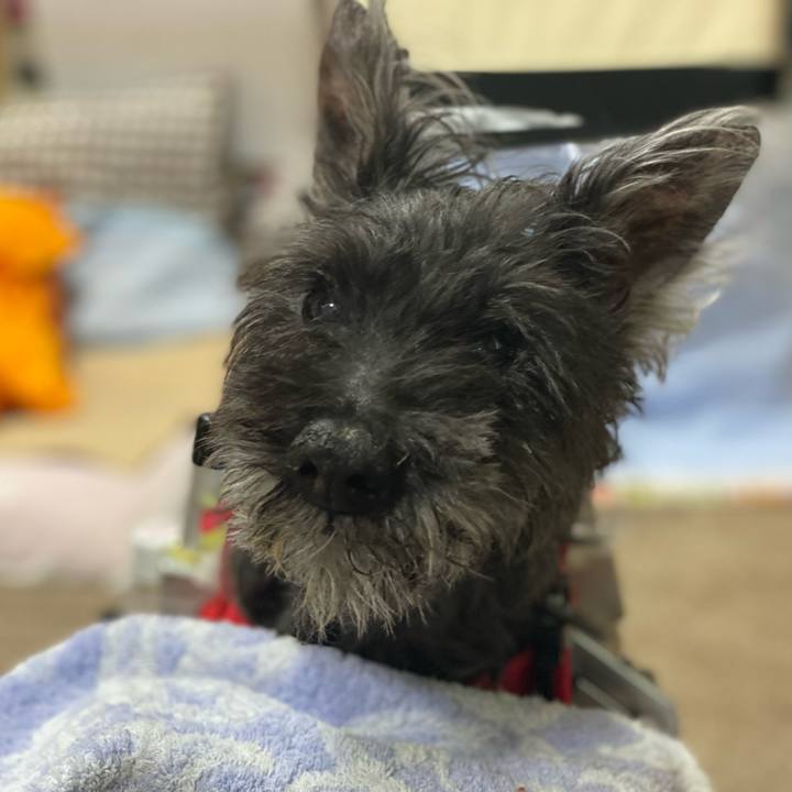 35308708 2c42 4e9f bf37 e63d40b5b778 1687138248916