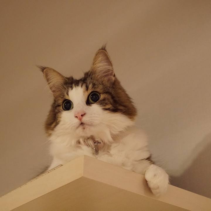 353096b3 d58d 4cb1 ae2e e53bceb6e002 1569941453943