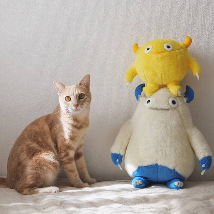 3530cea3 869c 4af5 be3c 52fd3eafd8ae 1569202594777