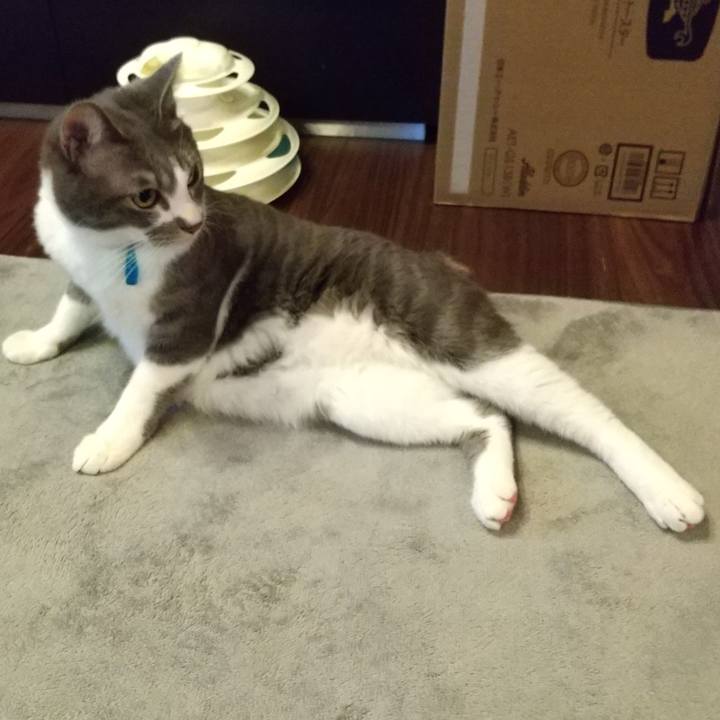 3530e21a bbb4 4933 8816 cd37b84b531c 1613811590728