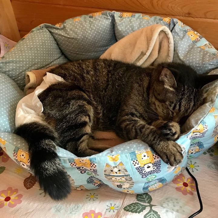 3531048f 56c6 49f4 940b f495d702d1db 1548041918634