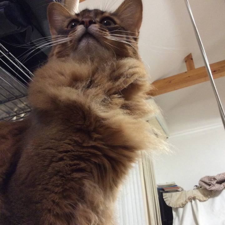 35310f96 a587 4448 a488 844d9a82bfe6 1603417235051