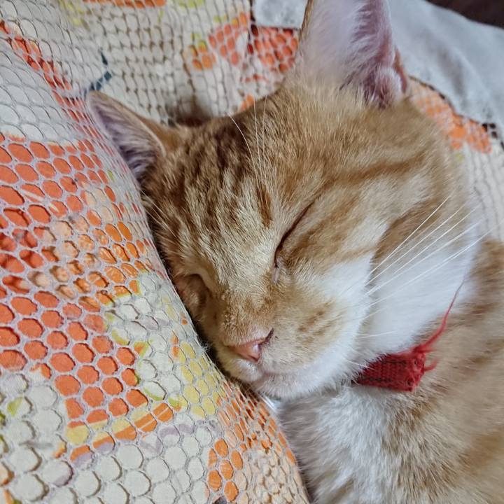 3531179b b84e 4661 93f9 f670bc164563 1573564337154