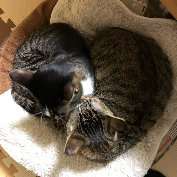 35314064 4c78 4ec8 b5a8 d764a2e9a372 1516867804097