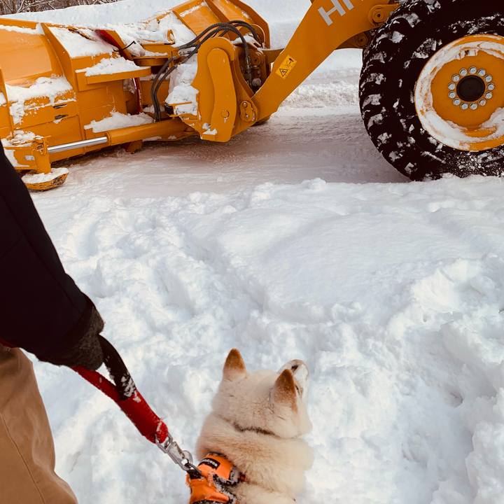 35314c27 165f 4f45 9a20 1c2bb724d1c4 1676244952674