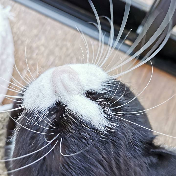 35315023 0d8e 45c3 a640 bd15cb7953f5 1664770622238