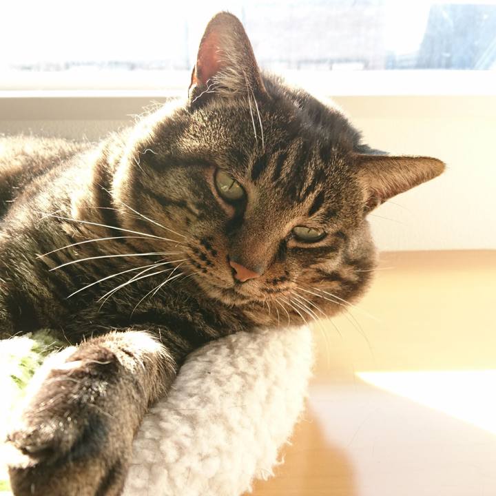 35316d8d 2b17 46b5 9496 e31e43ab589c 1608199336965