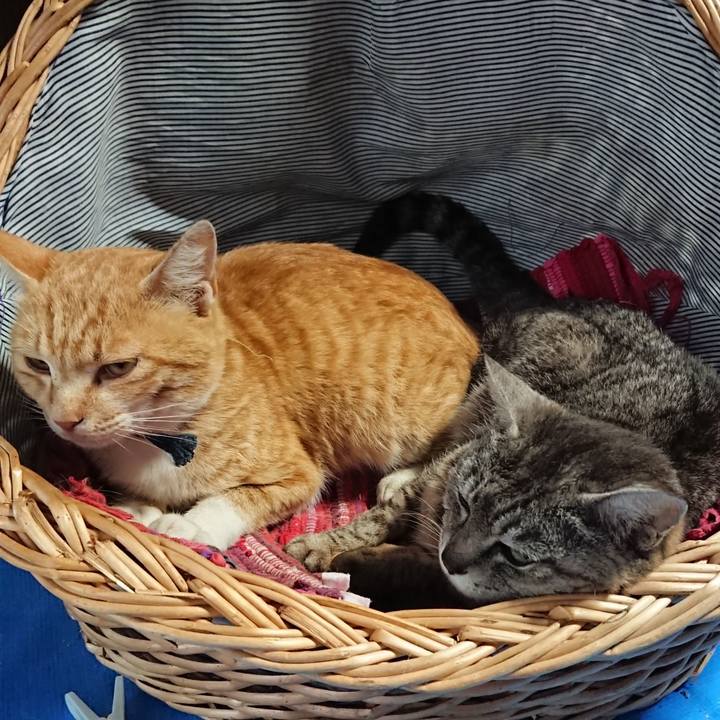 3531b2cc 651d 4b90 aab7 245694383b5c 1561866863271