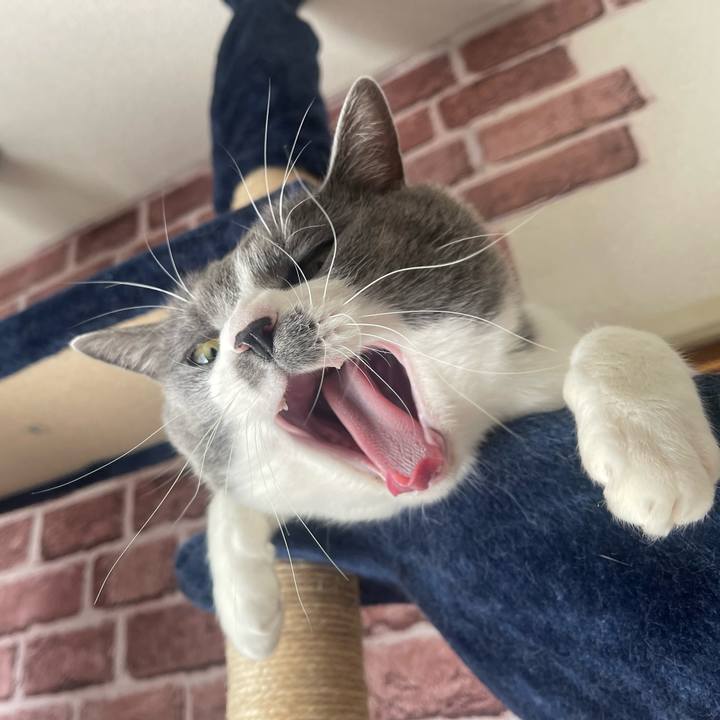 3531e513 7417 4f20 b659 98f38e7d440c 1676857159790