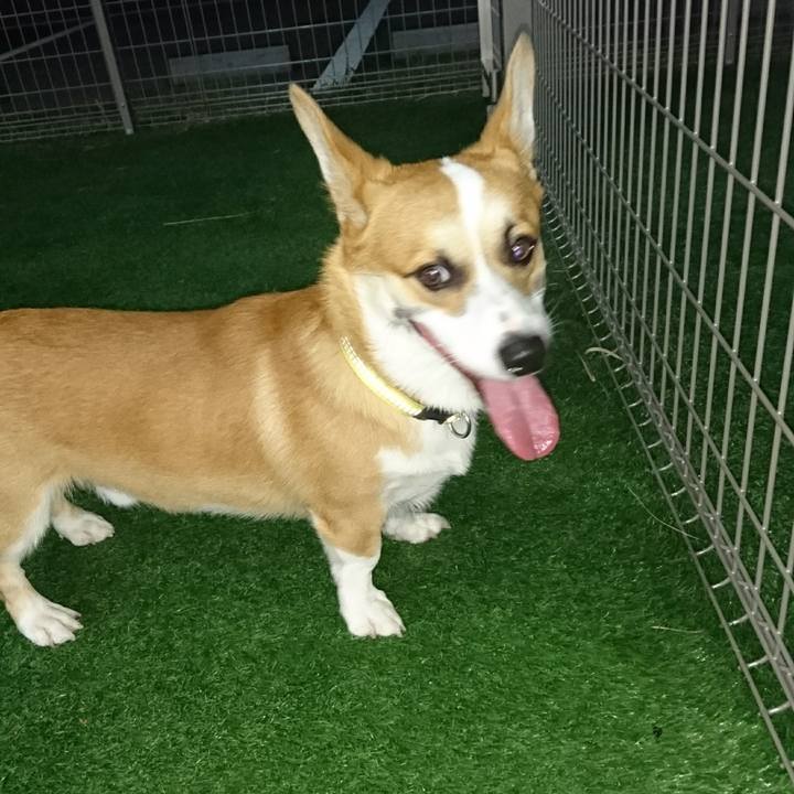 3531ecd7 d886 42b0 ab58 2fbc5927a9e1 1567160972718