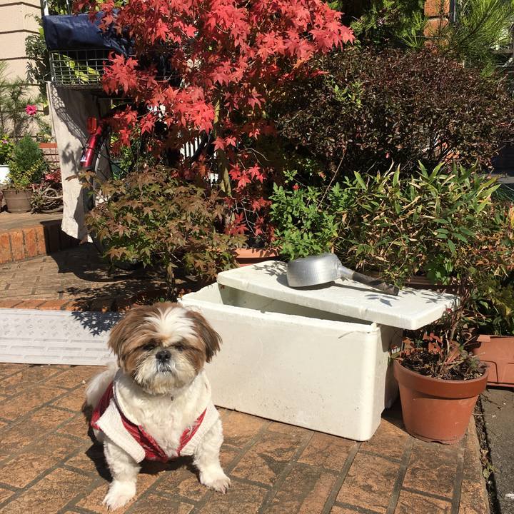 3531f836 45a3 4184 9bcd 86939e44723f 1509850207672