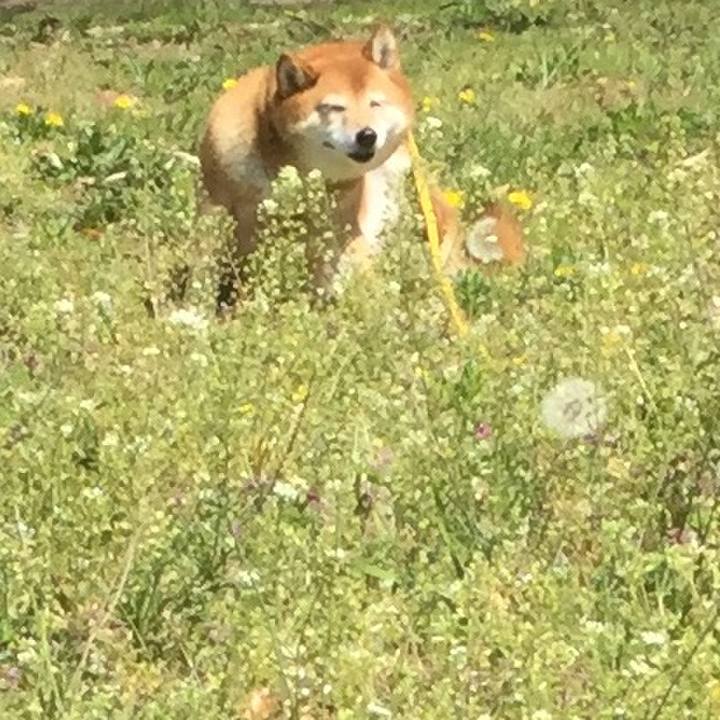 353201b4 32a9 4797 ac1e 5c5be02cf436 1555558659362