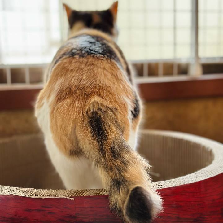 35320b88 1c94 429d b973 2e1f63a5a49d 1685321687330