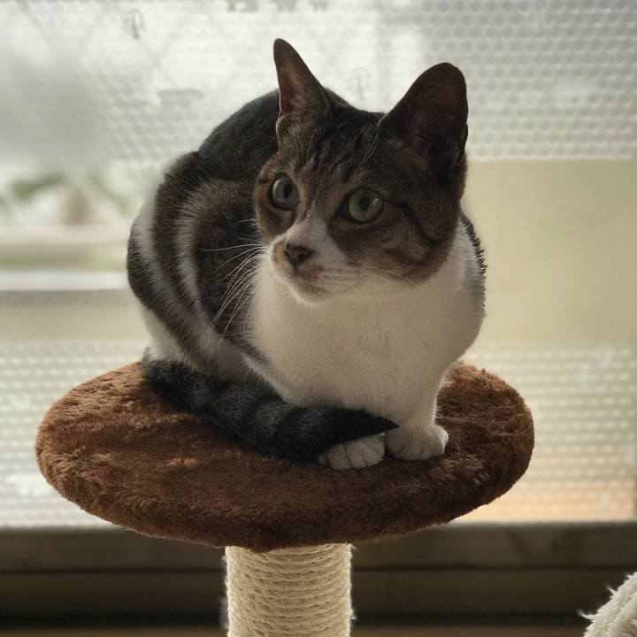 35327639 28c0 45ee bb48 870d0724a72a 1514769118967