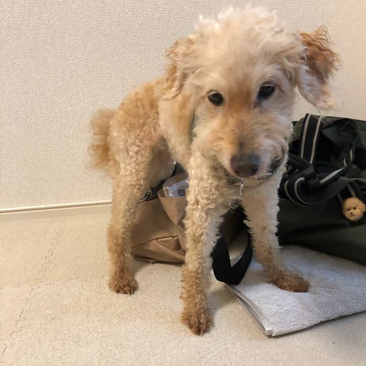 353299d5 7804 4850 9796 2f4e37f7feb0 1720484207018