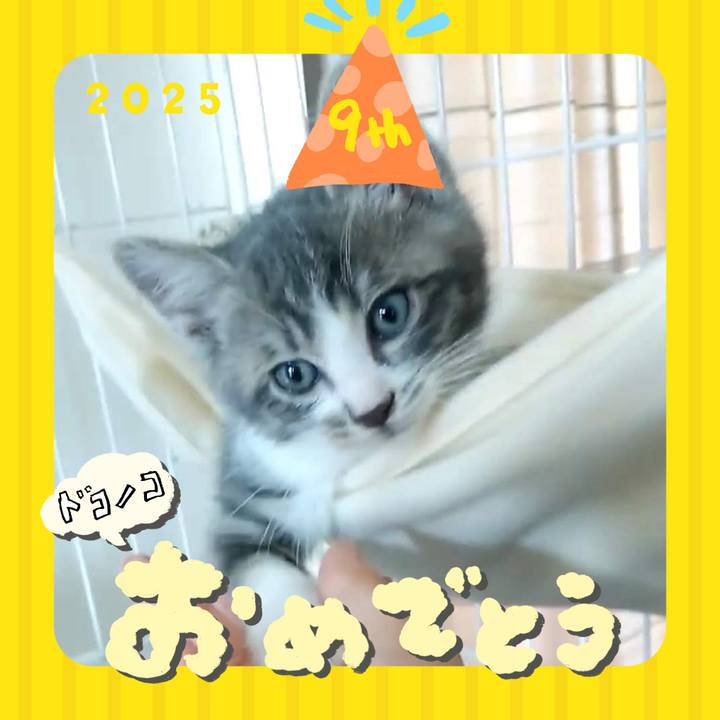 3532a528 dfb2 4a5f 81fa 79cae9b84733 1749622071925