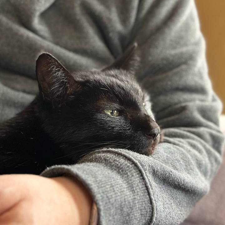 35330510 23e5 445e 89e6 1f9222264308 1705631034216