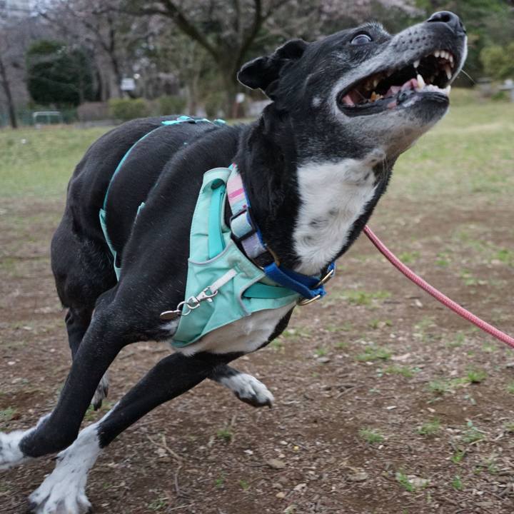 35339bb4 cf72 4a70 b3bb 611d3c9189ff 1773967073308