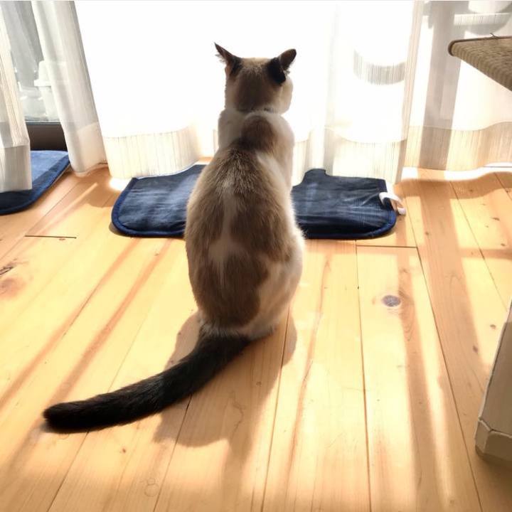 3533f00f aba6 43d3 af83 61ff3ef95146 1741945106711