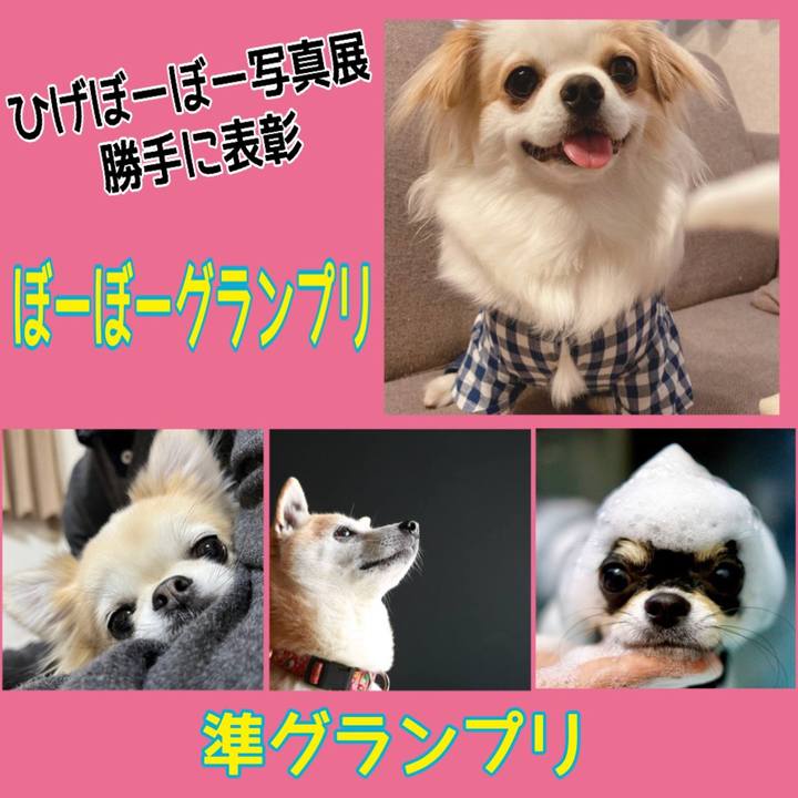 353419e3 30bd 4dec aaea 742811294f7b 1676770518130