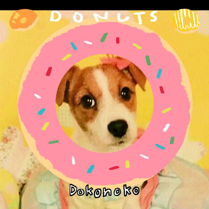 35341f8a d6f7 41da 9d4a f0c9072eae7d 1744345549323