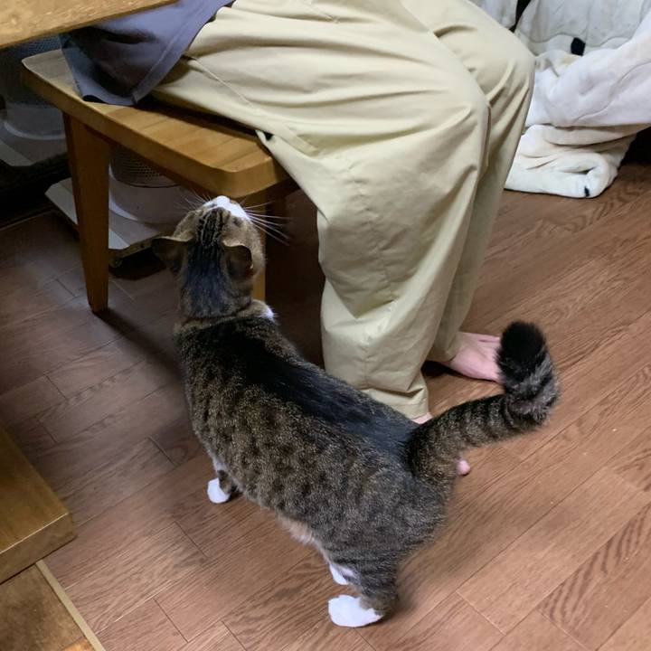 3534457a e1c4 40ce a54d 528033bcca35 1633782486570