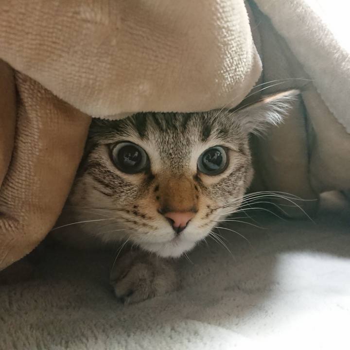 3534814c 7ab6 4b70 8d0e 072b5632febe 1523628275987