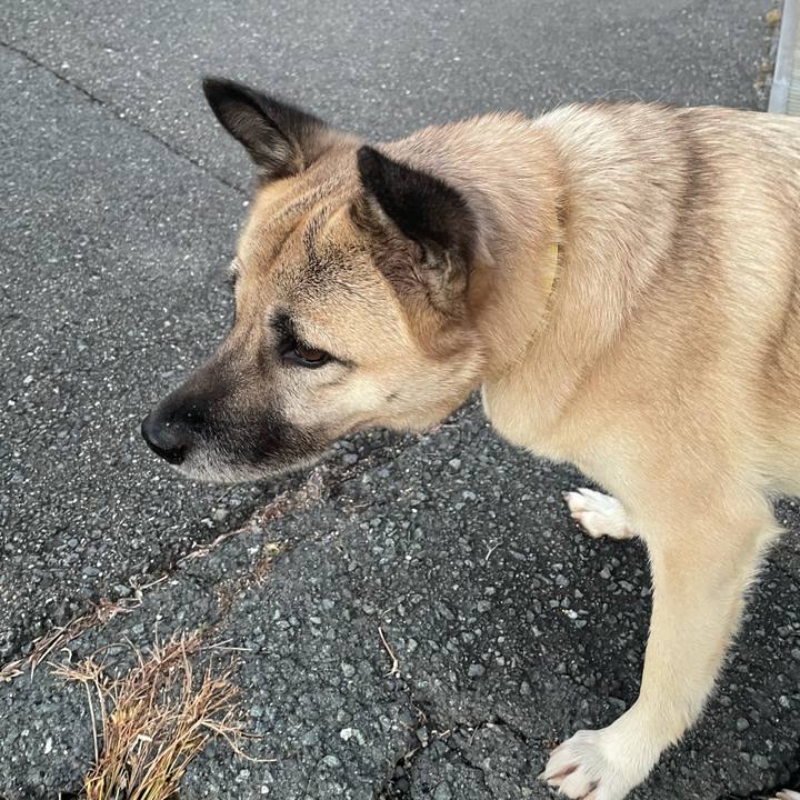 35349b92 1c0a 4525 94d4 b5f006f69c8b 1639567619489