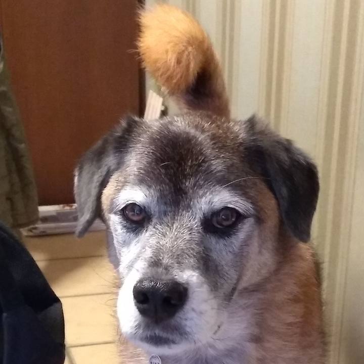 3534a005 f677 48f3 9071 3d5cb21ec556 1574038685593