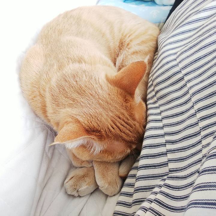 353548ad 1b32 44d3 a70a 8f02597cf6a0 1612058247409