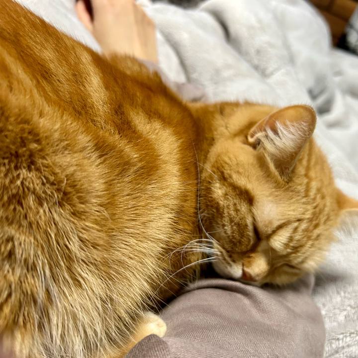 353577e2 0c50 4064 a0e3 5144e7556d43 1707140381584