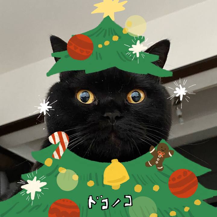 353580de ccb3 42d0 8edd d4b99bec7026 1763288304972