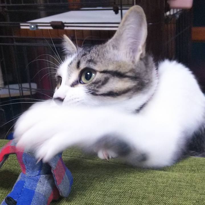 3535ba18 ce9f 4ae4 9148 faca52b3556d 1612260131521