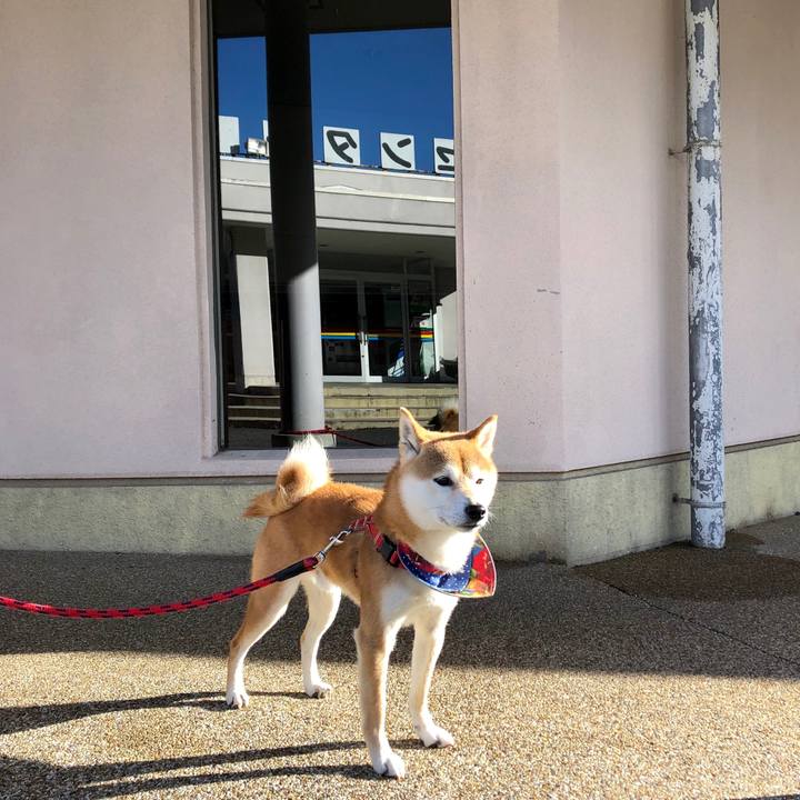 3535d231 ae6e 4cc9 a0f8 d0480e6fa2b5 1544605579490