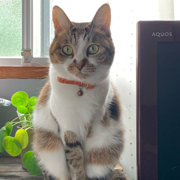 3535d42d 414d 438b abfd 9e3158c868d1 1665381489569