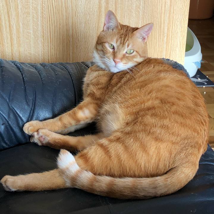 3535e64c 633f 442e b28c 0ddd9a22d937 1556580479810