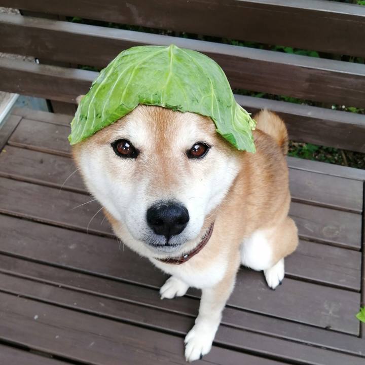 3535f039 ba90 4efe b6ce 550766dcc403 1685615695728