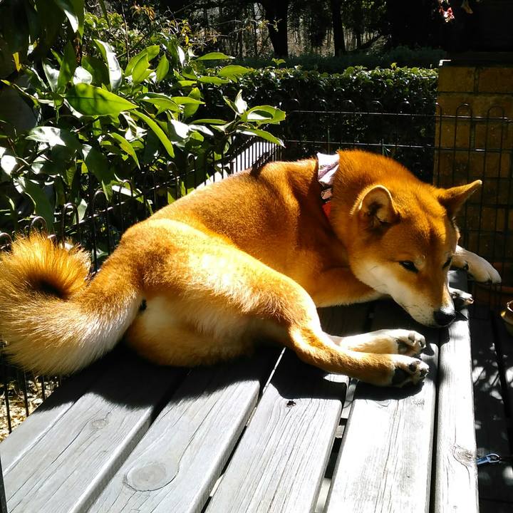 35361417 7b63 4e67 a765 af3d4dcb70b1 1519875662068