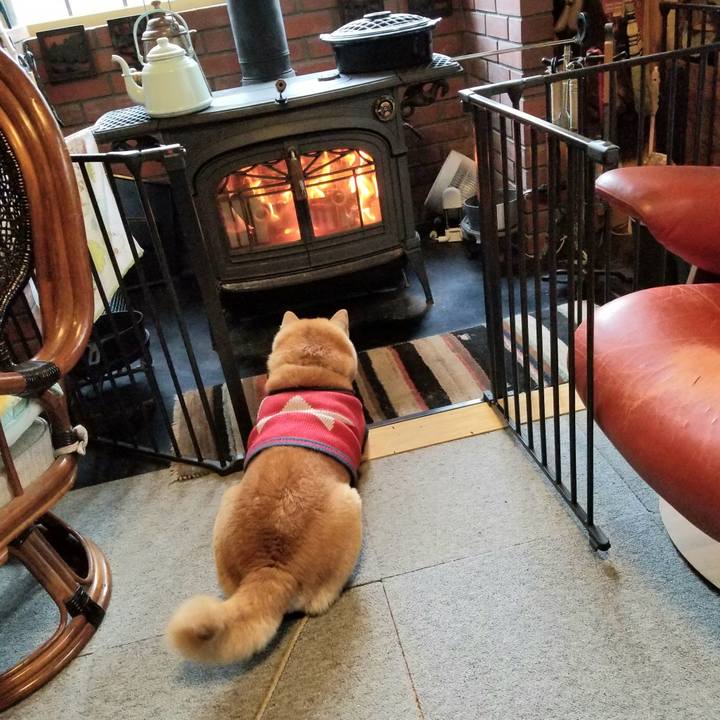 3536287b e7bb 484f be2e a1159eb9a062 1606519438788