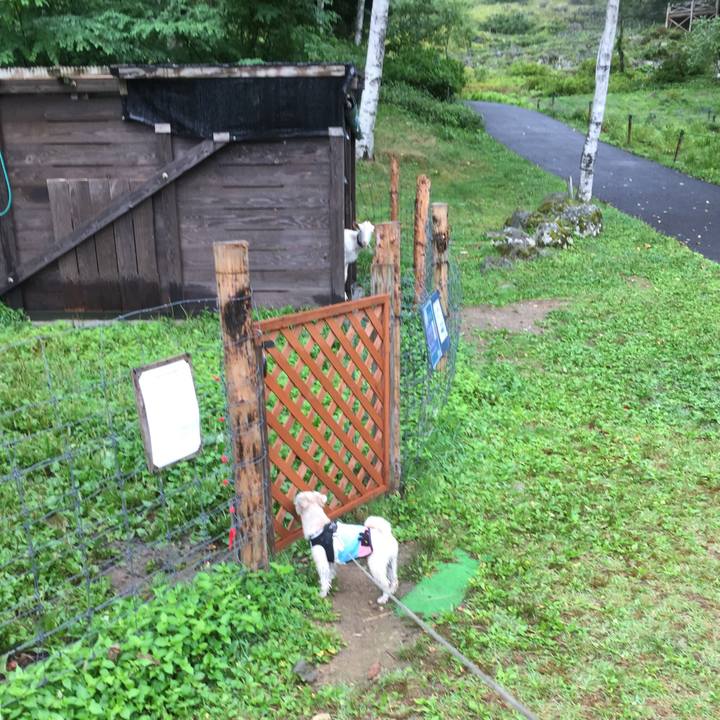 353645bb 6d82 4731 a02c 2b86d5b86a77 1535764309226