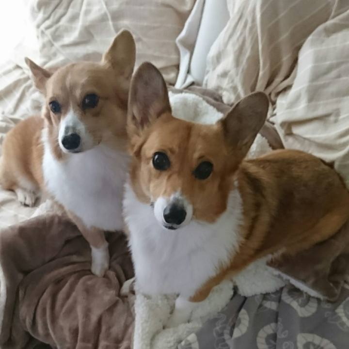 353656c8 4a97 4576 ada9 39d0ec7db82b 1543641434367