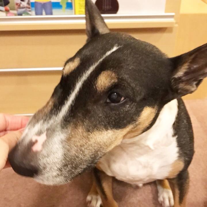 35367204 1af9 44aa 804c cc84d0c85a95 1509102437617