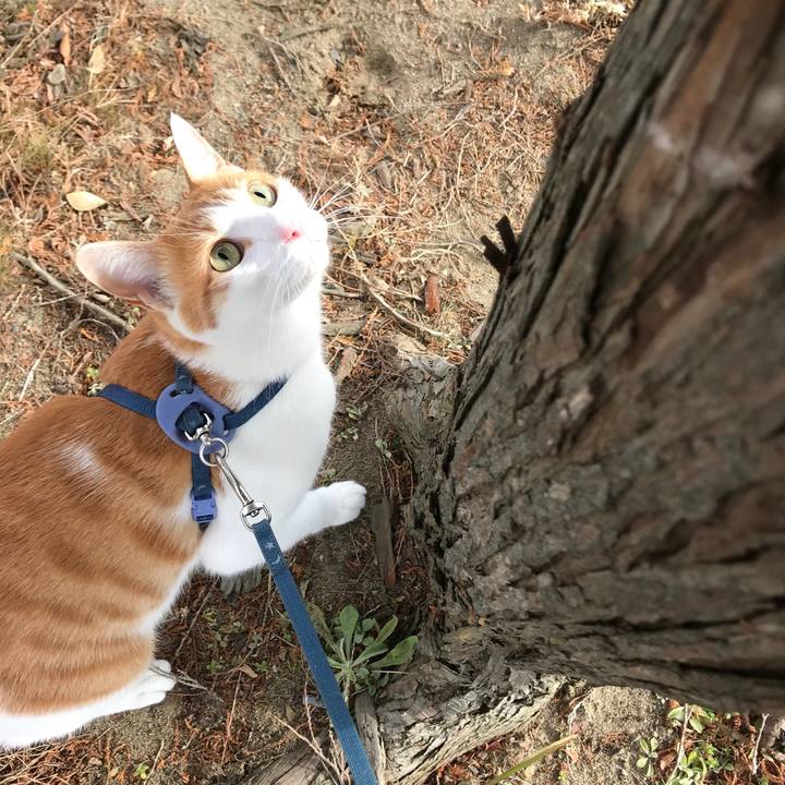 353697f3 5d6b 42f5 b216 db4d8339f63b 1513139281067