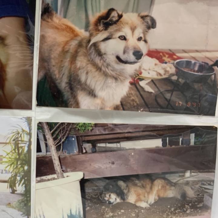 3536c615 0d5a 4e8b 9257 21d56670c677 1647106299884