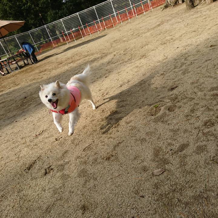 3536d395 5638 4105 970b 6a430899fdeb 1538549281758