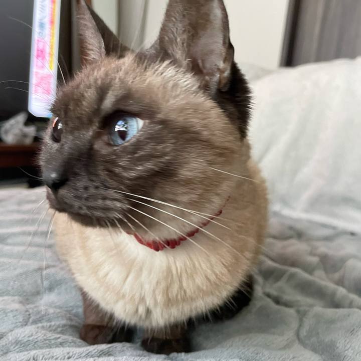 3536f6c7 83e2 42ac 9411 5d99981c81e9 1771578385394