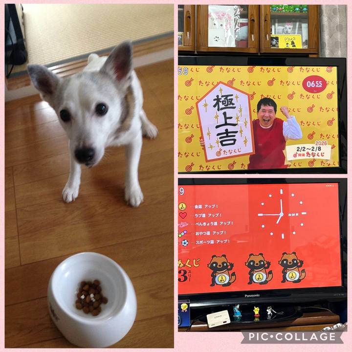 3536f740 2938 42b3 b7bb 8370df940b67 1769983683828