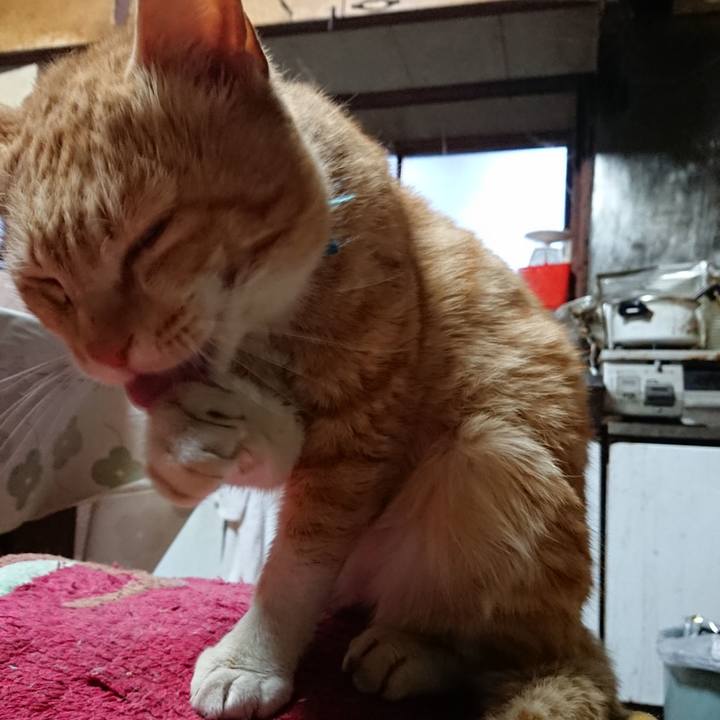 35370f72 2ad1 4101 9275 37f1be3fdf55 1556395315397